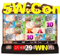 BET29 APP